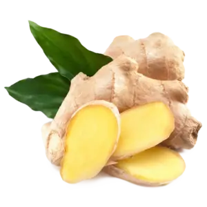Ginger