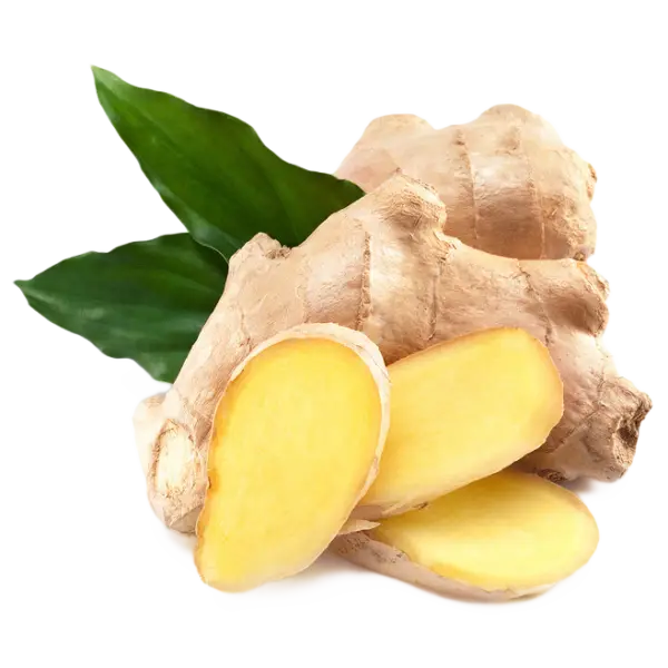 Ginger