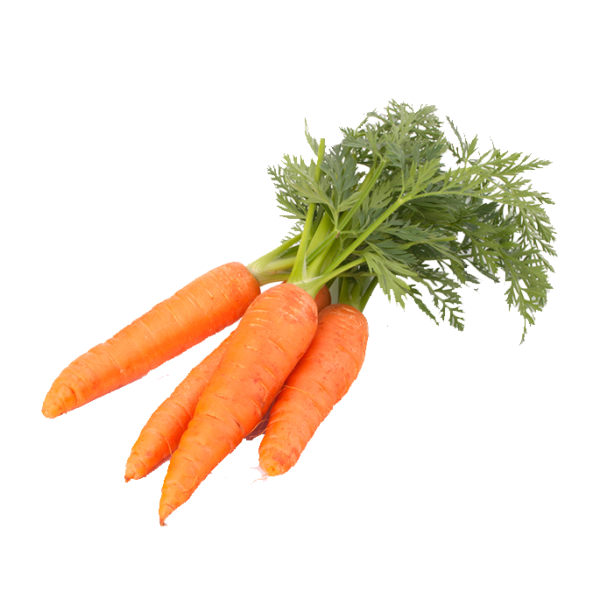 Carrot