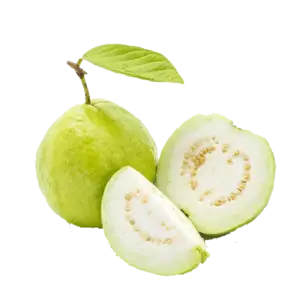 Guava