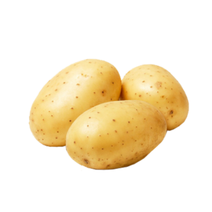 Potato