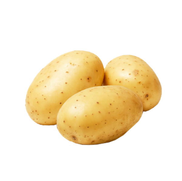 Potato
