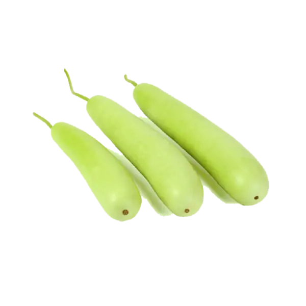 Bottle Gourd