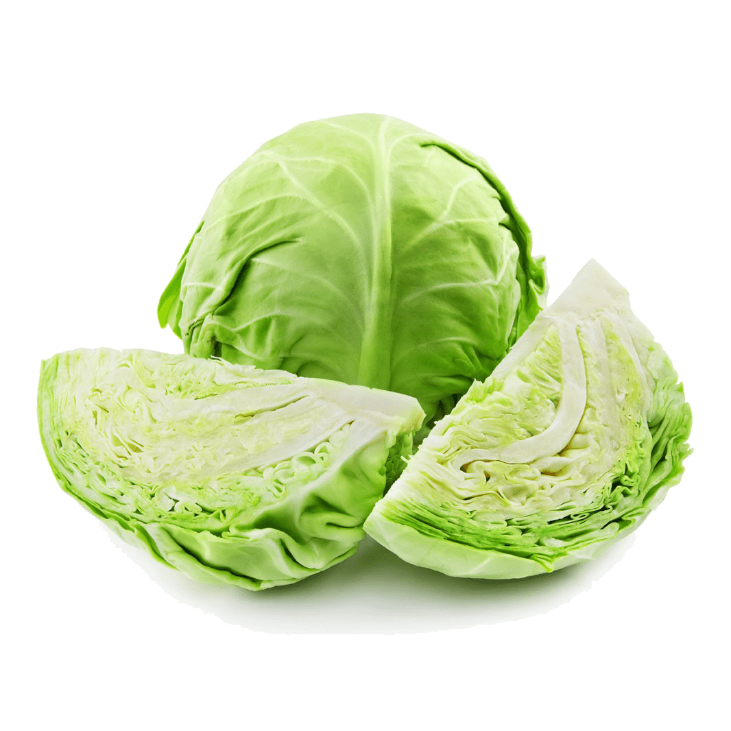 Cabbage