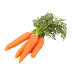 Carrot