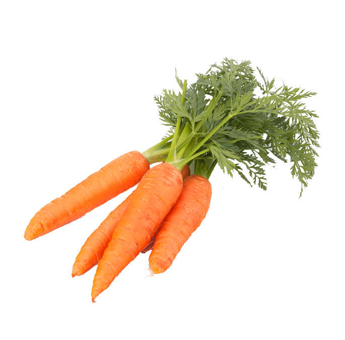 Carrot