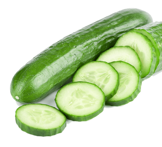 Cucumber e1740818445740