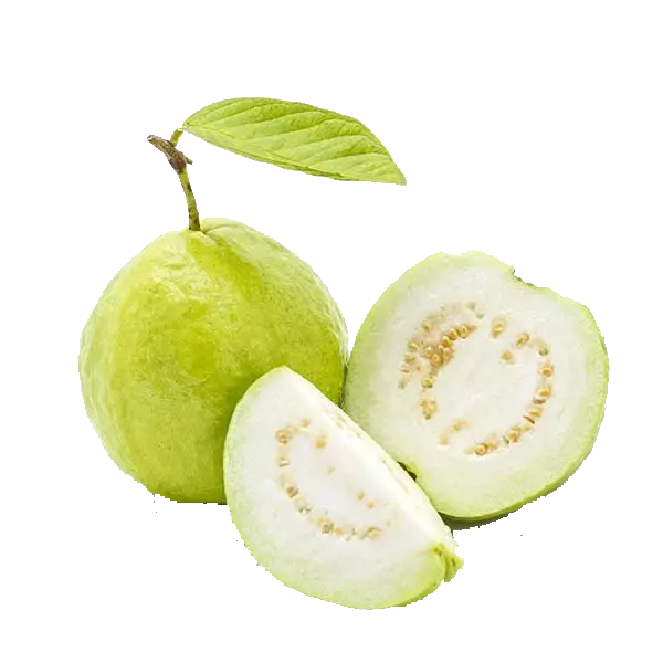 Guava