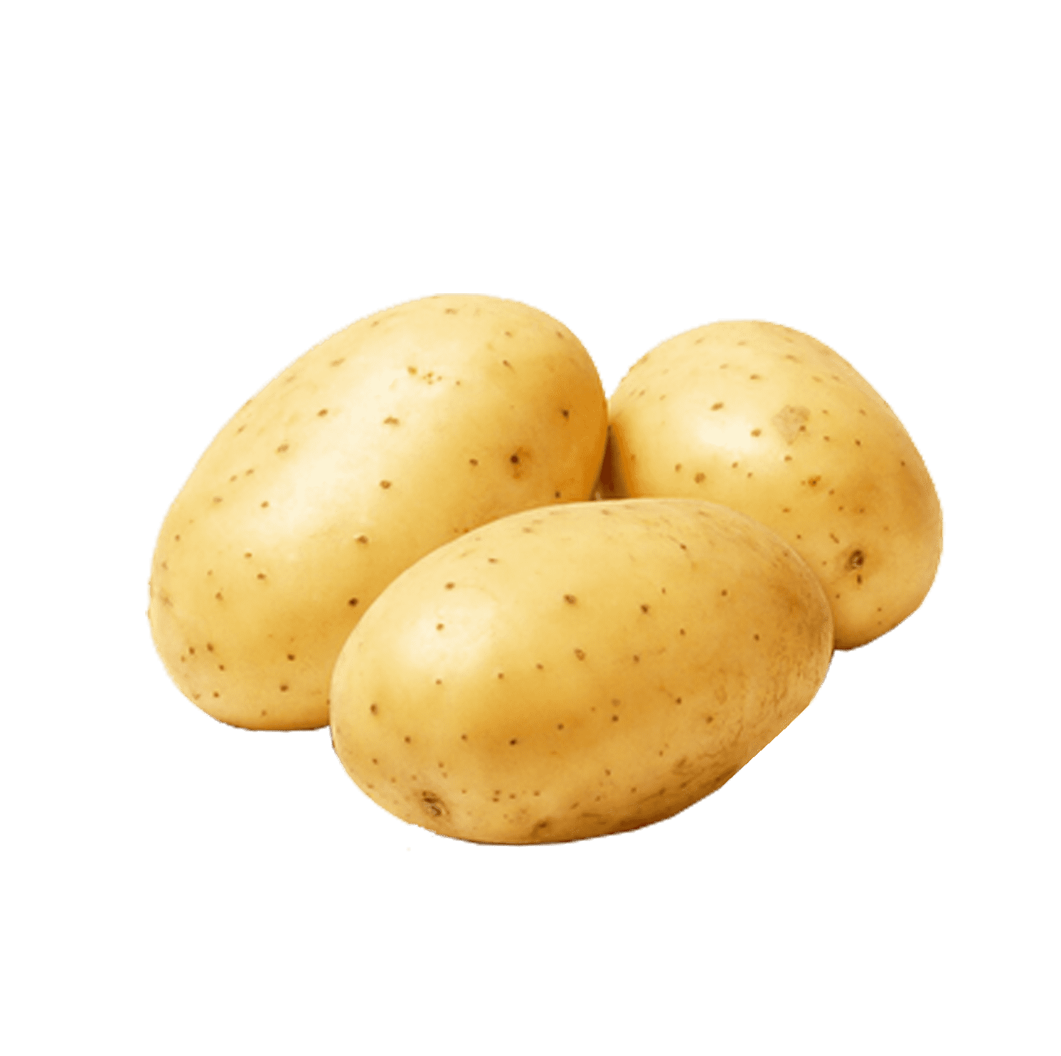 Potato