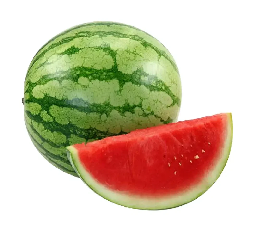 Watermelon e1740816121556
