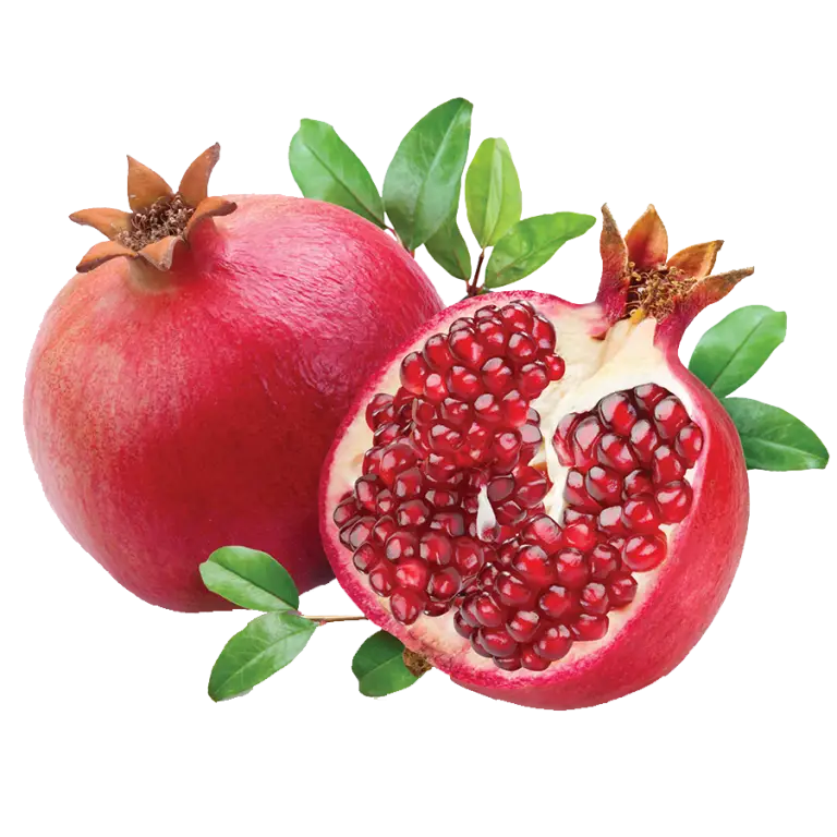 pomegranate